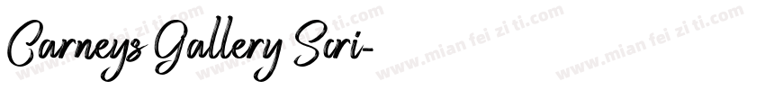 Carneys Gallery Scri字体转换